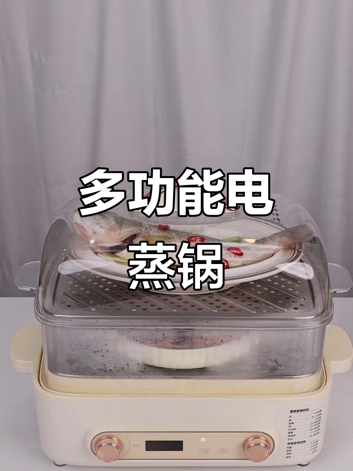 一锅多用,蒸炖煮样样行!多功能电蒸锅让你厨房更高效