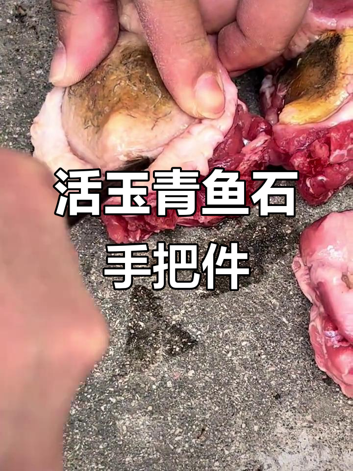 活玉青鱼石手把件,盘玩乐趣多