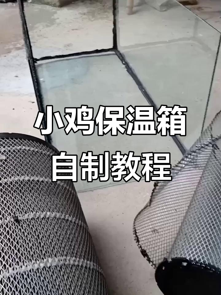 废品变宝,DIY小鸡保温箱全攻略