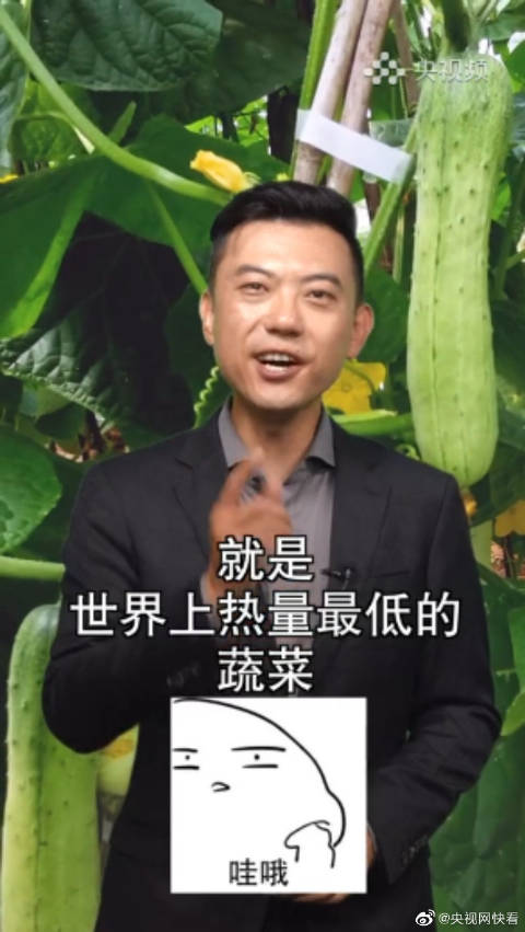 「减肥为啥都吃黄瓜?黄瓜是世界上热量最低的蔬菜之一」8月最佳时令美食 ①豆角:最近豆角的第