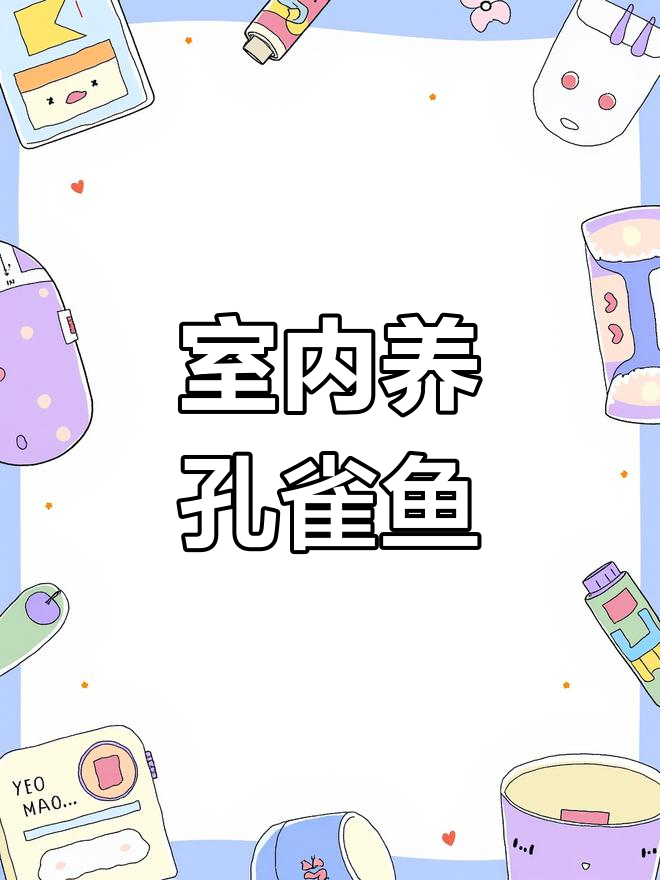 室内孔雀鱼养殖系统缸,蓝礼夫与新品种全解析