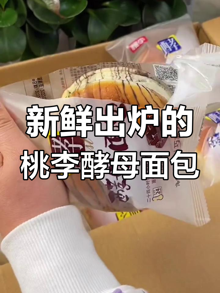 桃李酵母面包,奶香浓郁又软和,红豆巧克力味十足