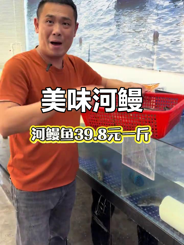 河鳗肉质鲜美,清蒸或生焗皆宜,绝对让你回味无穷!