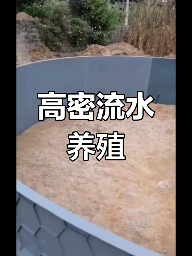 网箱养殖创新:高密度流水养鱼,产量惊人
