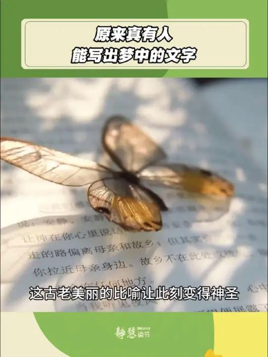 不愧是诺贝尔奖得主,原来真有人能写出梦中的文字,光看封面就一眼沦陷,克林索尔的最后夏天,黑