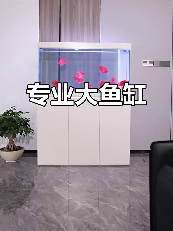 超大超白鱼缸,专业底滤设计,适合龙鱼等大型水族生物