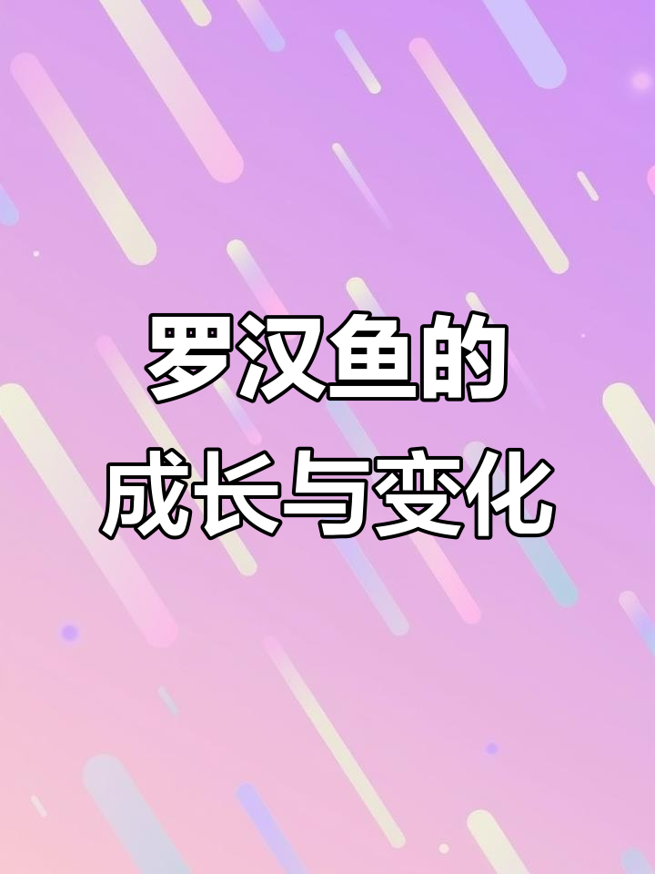 国产罗汉鱼从小到大的蜕变,颜色和头型变化惊人