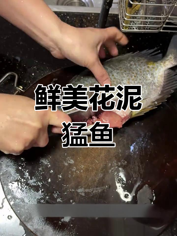 花泥猛鱼新鲜上岸，简单煮法保留原汁美味与健康