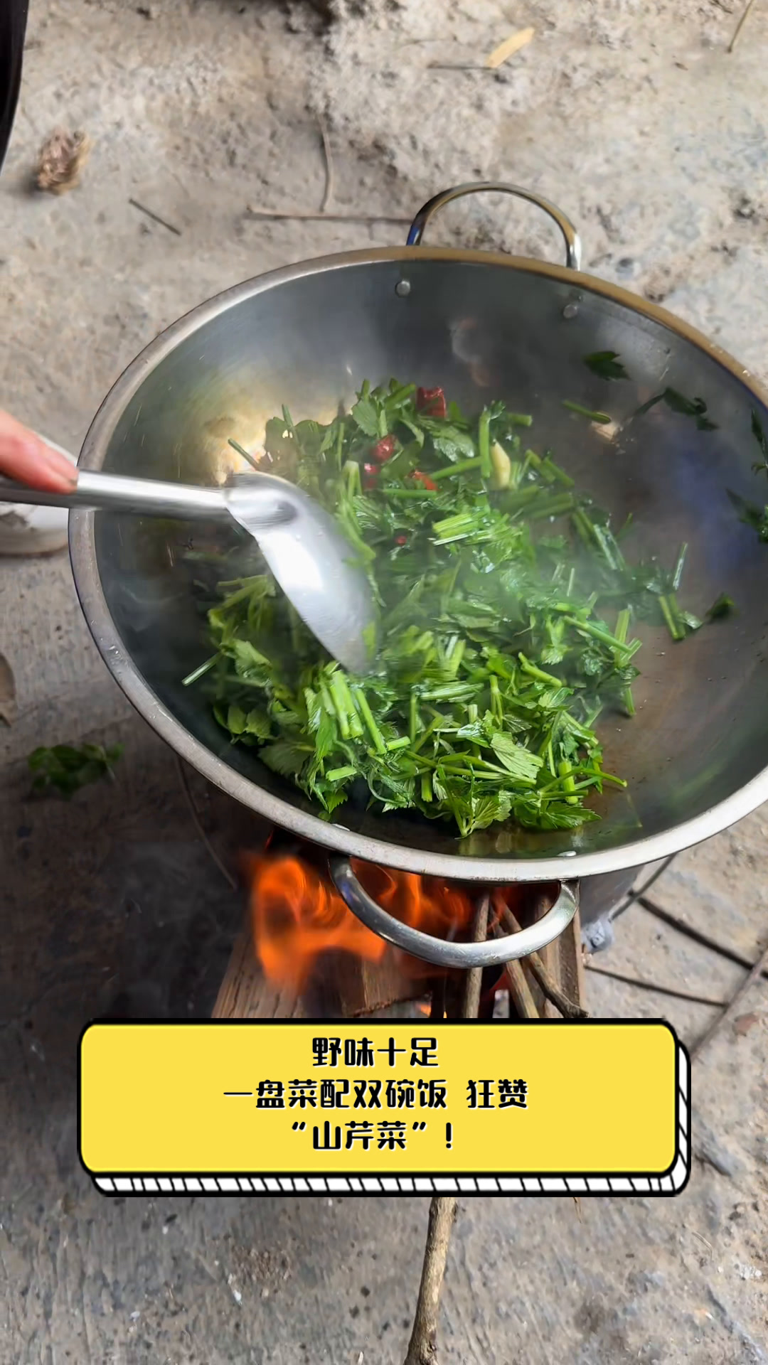 野味十足,一盘菜配双碗饭,狂赞“山芹菜”!