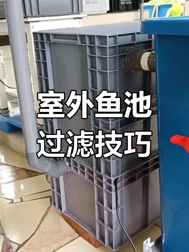 室外鱼池过滤系统全解析:从垃圾桶到水泵安装
