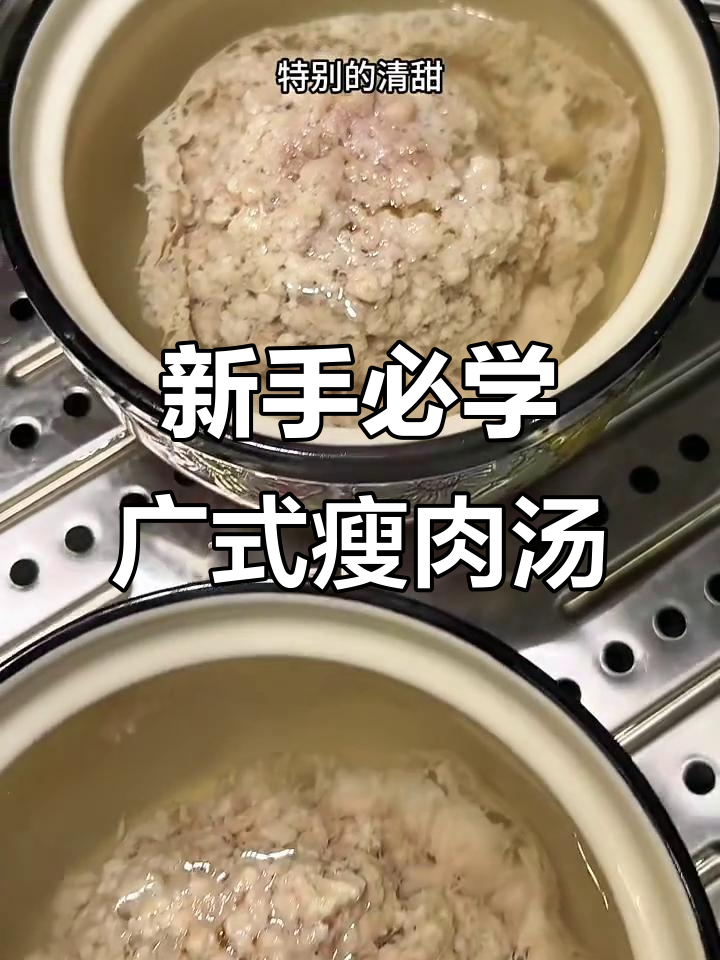 轻松学会广式蒸汤,新手也能做出美味瘦肉汤