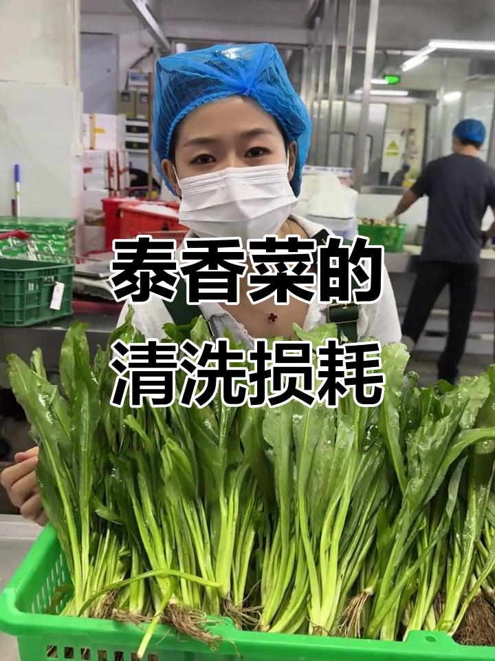 泰国香菜清洗损耗揭秘:半小时内损失一斤三两