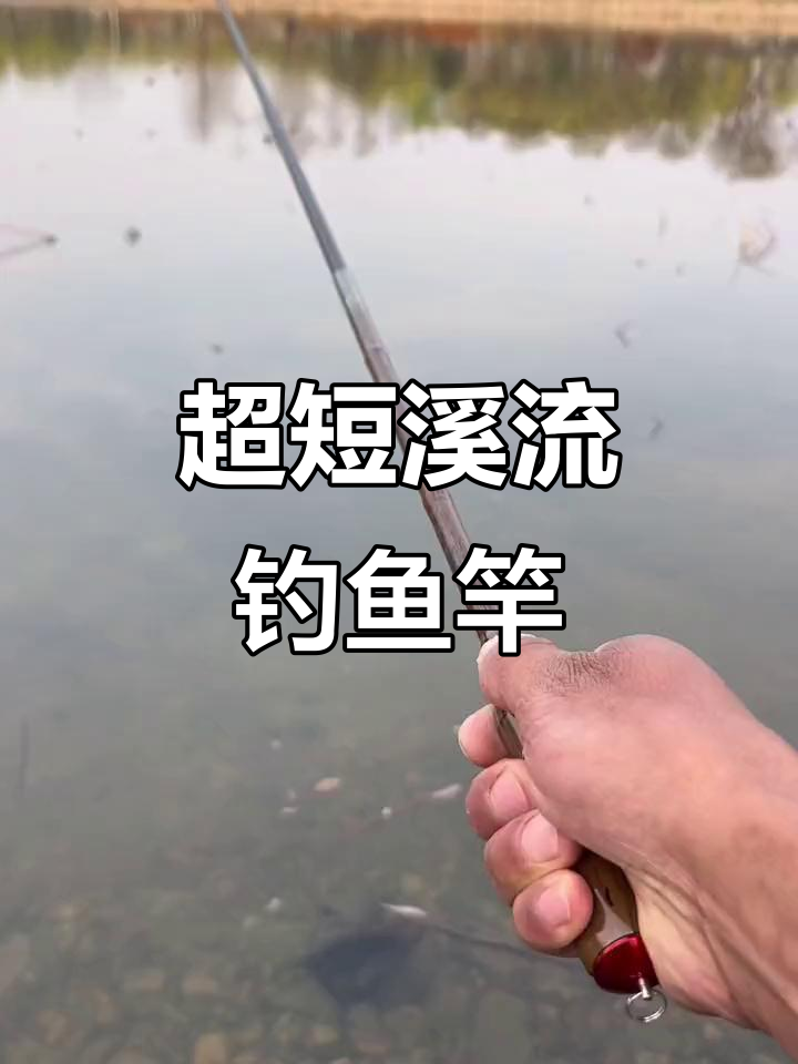 溪流钓必备！超轻巧小鱼竿，轻松抽白条和鲫鱼