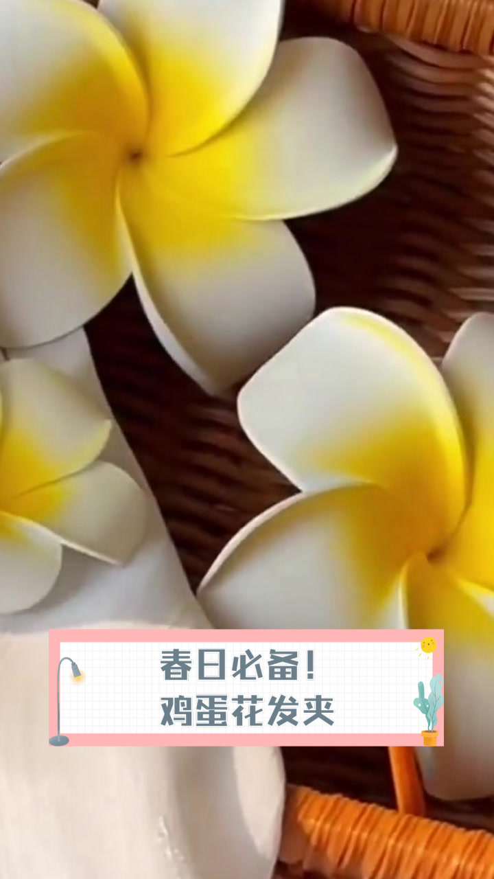 春日必备!鸡蛋花发夹