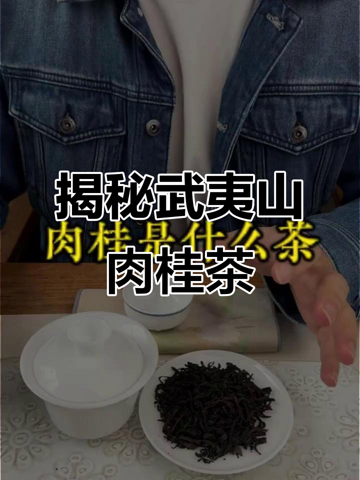 肉桂茶的秘密：从树种到顶级岩茶的价格差异