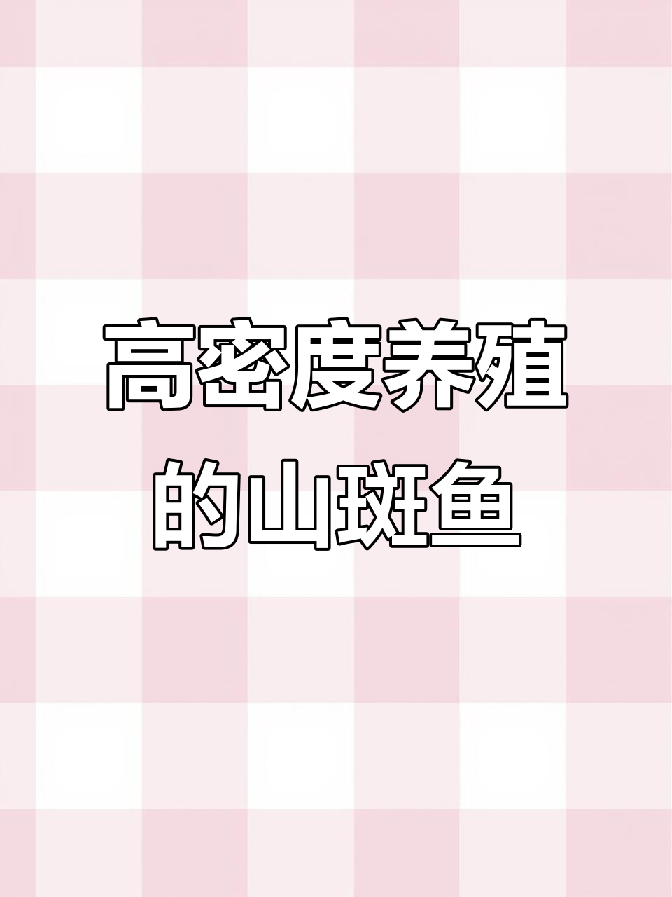 山斑鱼:高耐养淡水鱼类,黑鱼的亲缘关系揭秘