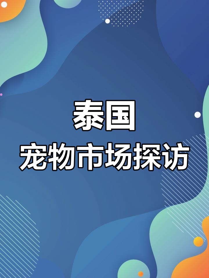 泰国曼谷宠物市场大揭秘:从大王八到迷你猴,萌宠全览
