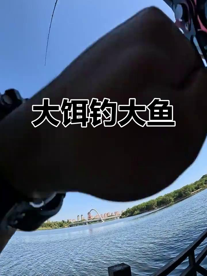 用大饵钓大鱼,埃及鲶鱼轻松上钩!