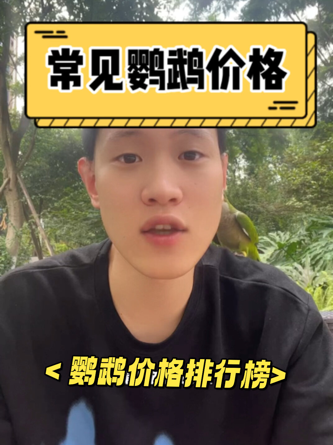 别买贵了!常见鹦鹉价格排行榜!