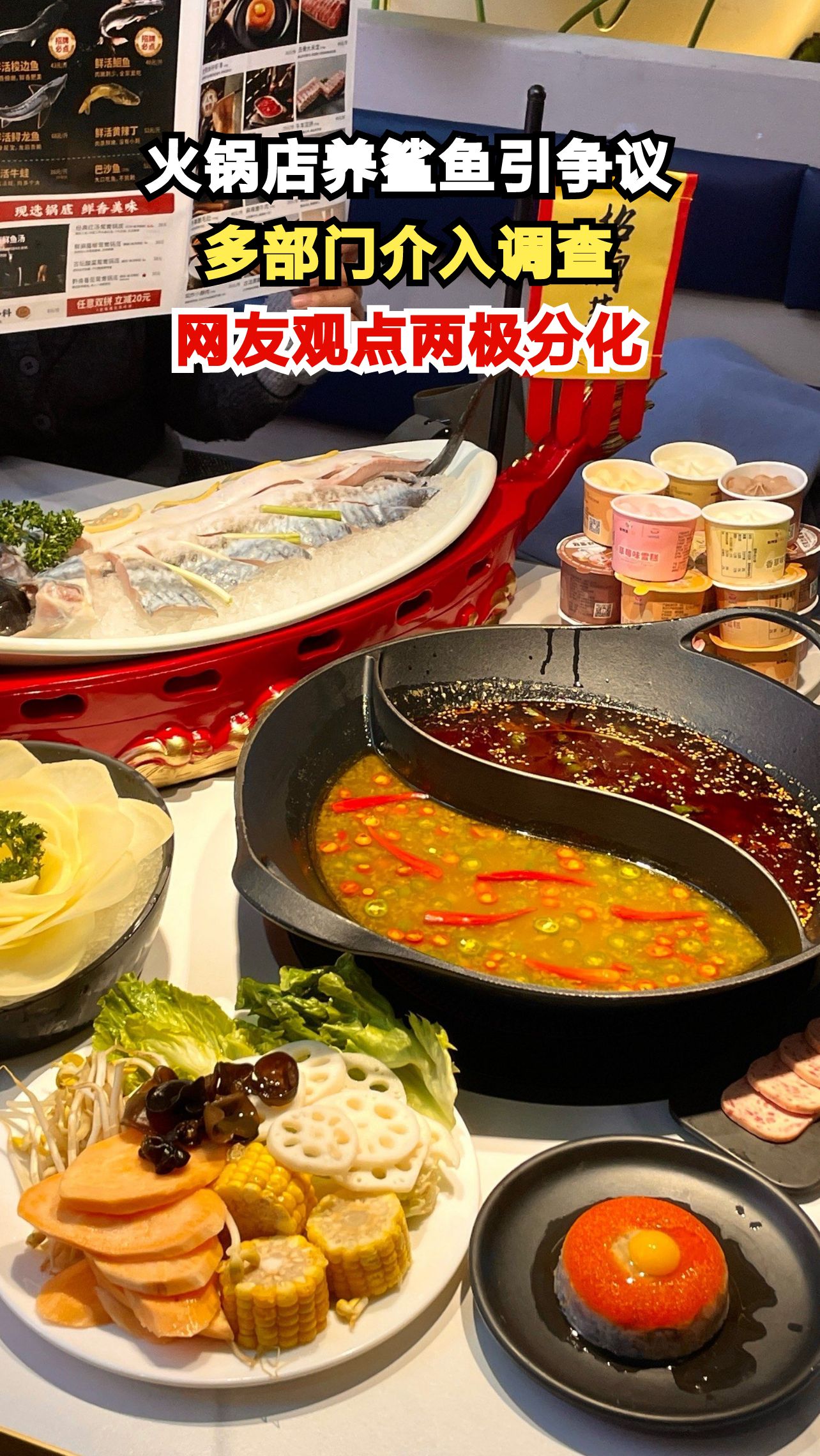 太原火锅店养鲨鱼当布景,网友吵翻天!这操作合法吗?