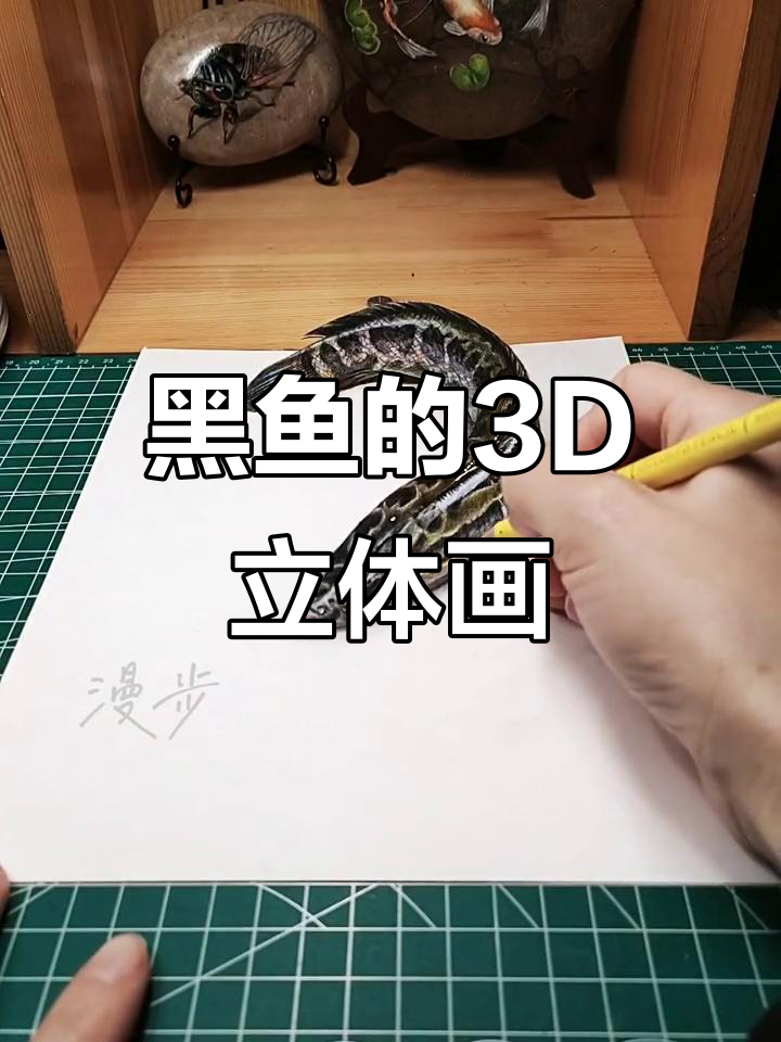 3D立体画让黑鱼栩栩如生,彩铅画出活灵活现的动态感