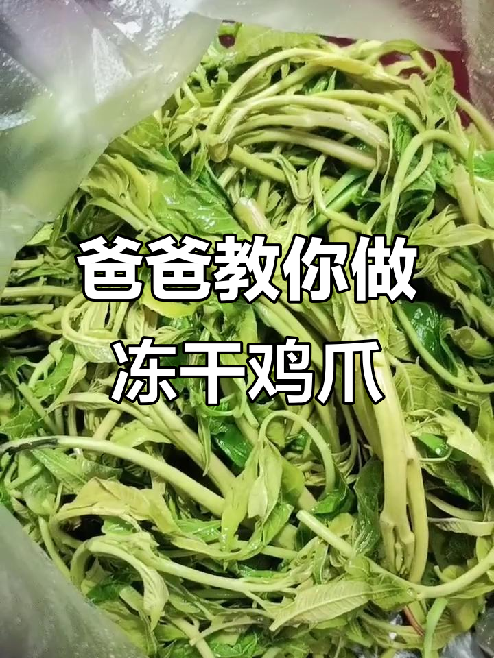 下半年吃不停,鸡爪菜和爸爸的冰箱秘制法