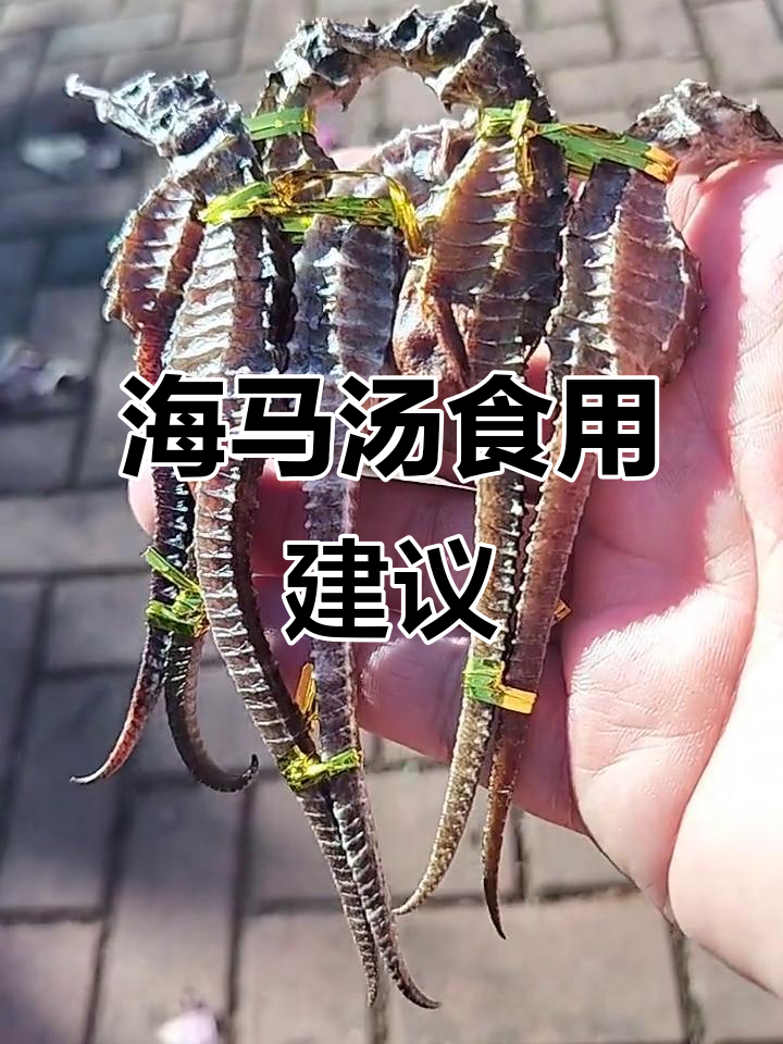 13岁及以上孩子,海马汤每周一次或每月三次为宜