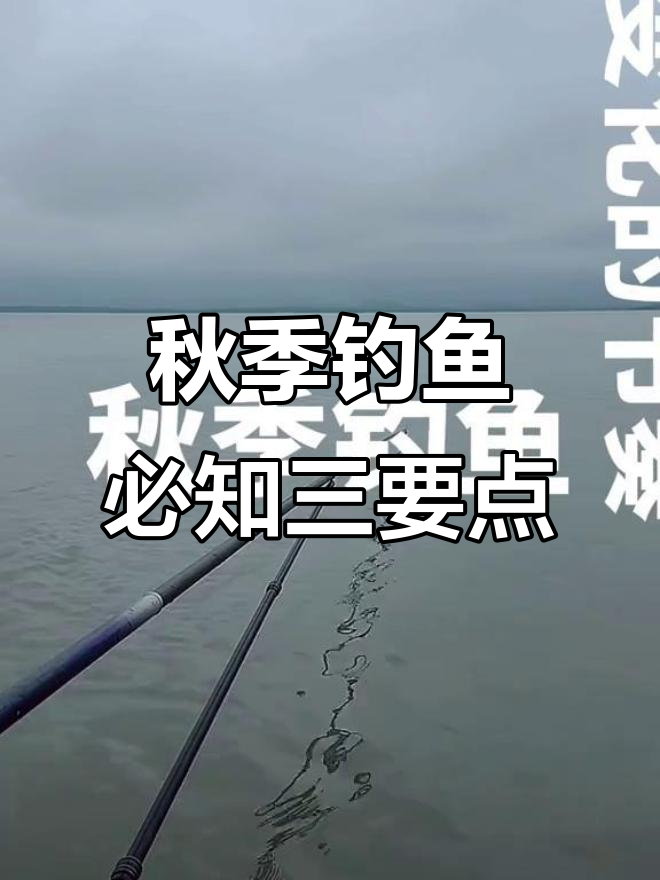 秋季钓鱼三大关键技巧，掌握这些让你爆护无忧