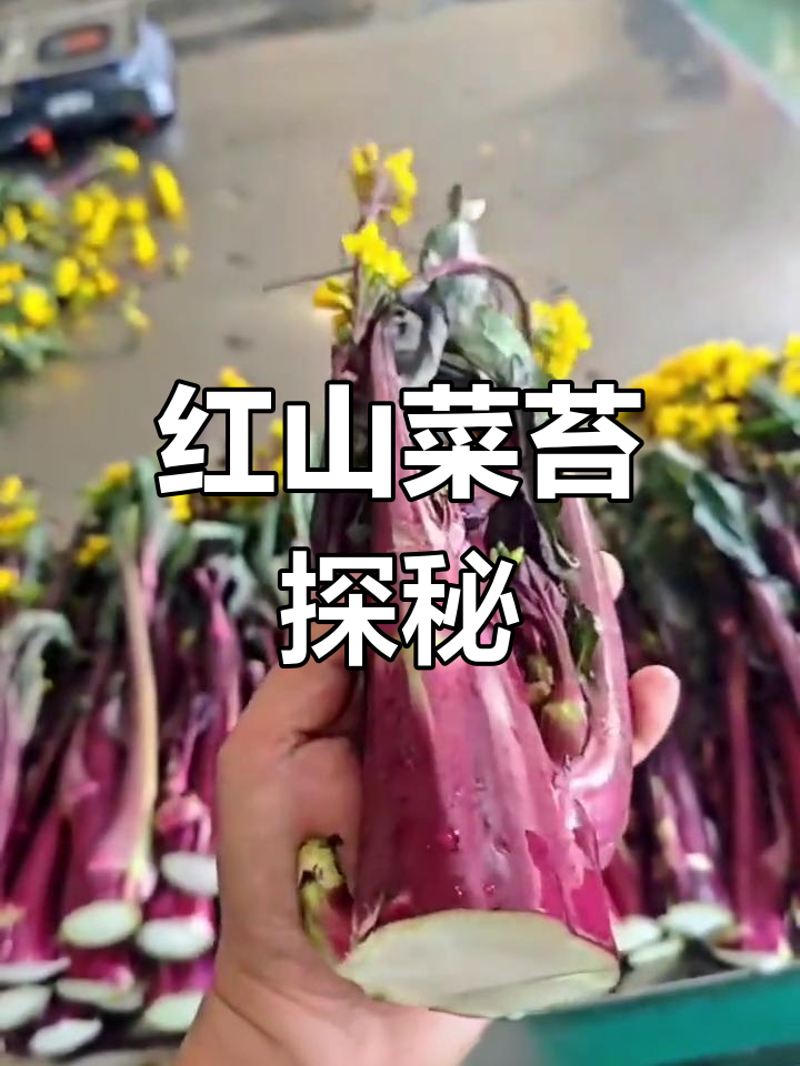 洪山菜薹的原产地揭秘:为何如此昂贵?