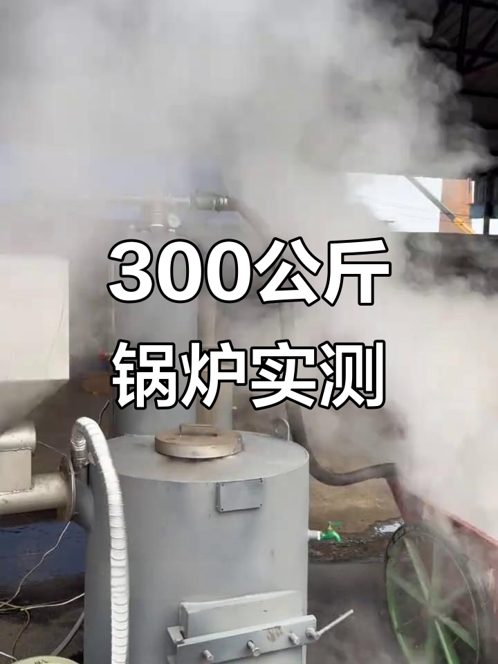 300公斤蒸发量测试:煤柴颗粒锅炉高效运行,蒸汽强劲