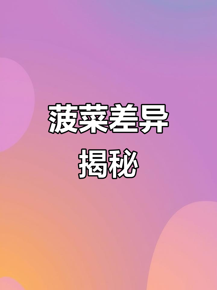 尖叶与圆叶菠菜各有千秋,口感营养大不同
