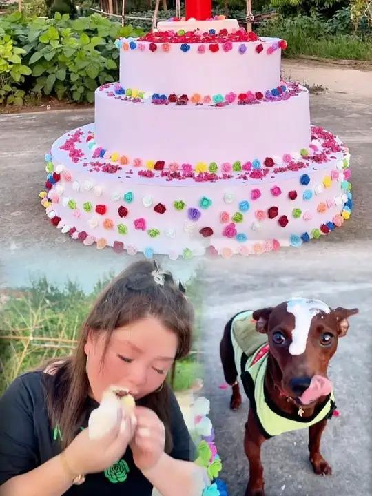 巨无霸生日蛋糕给你过生日！原创搞笑萌宠过生日要有仪式感蛋糕