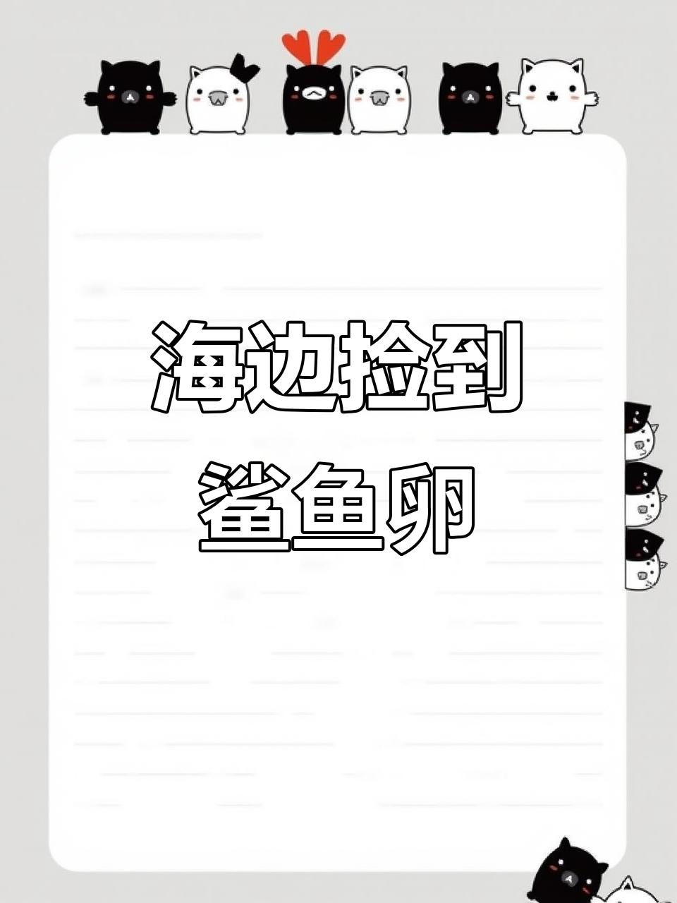 海滩发现神秘螺旋物，竟是鲨鱼卵！千万别带回家