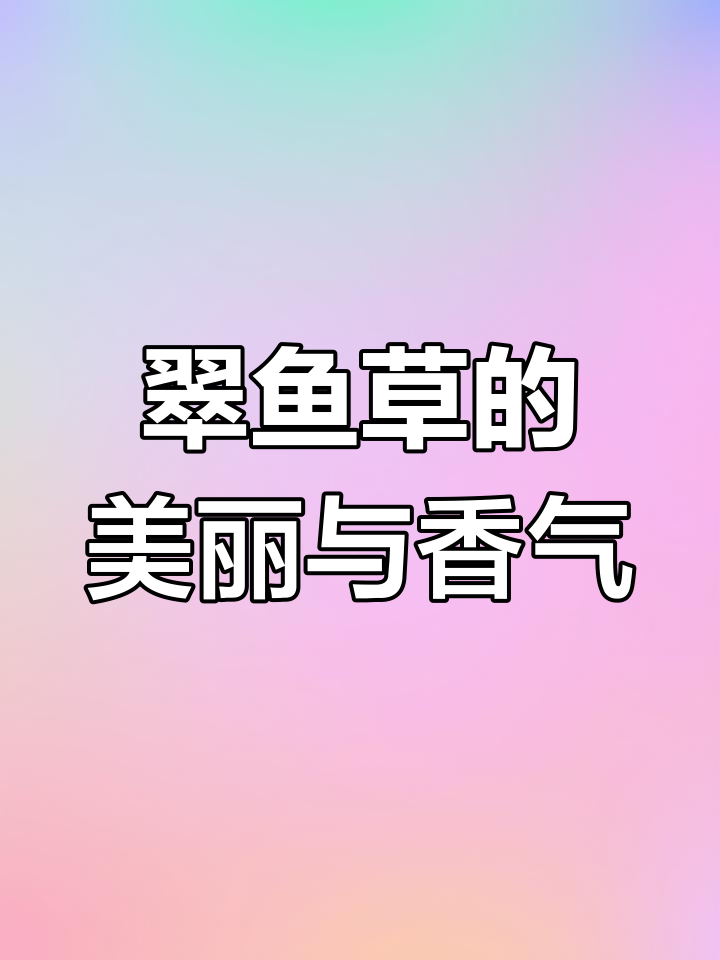 翠鱼草:紫色芳香的花朵与独特叶片,带你领略大自然的魅力