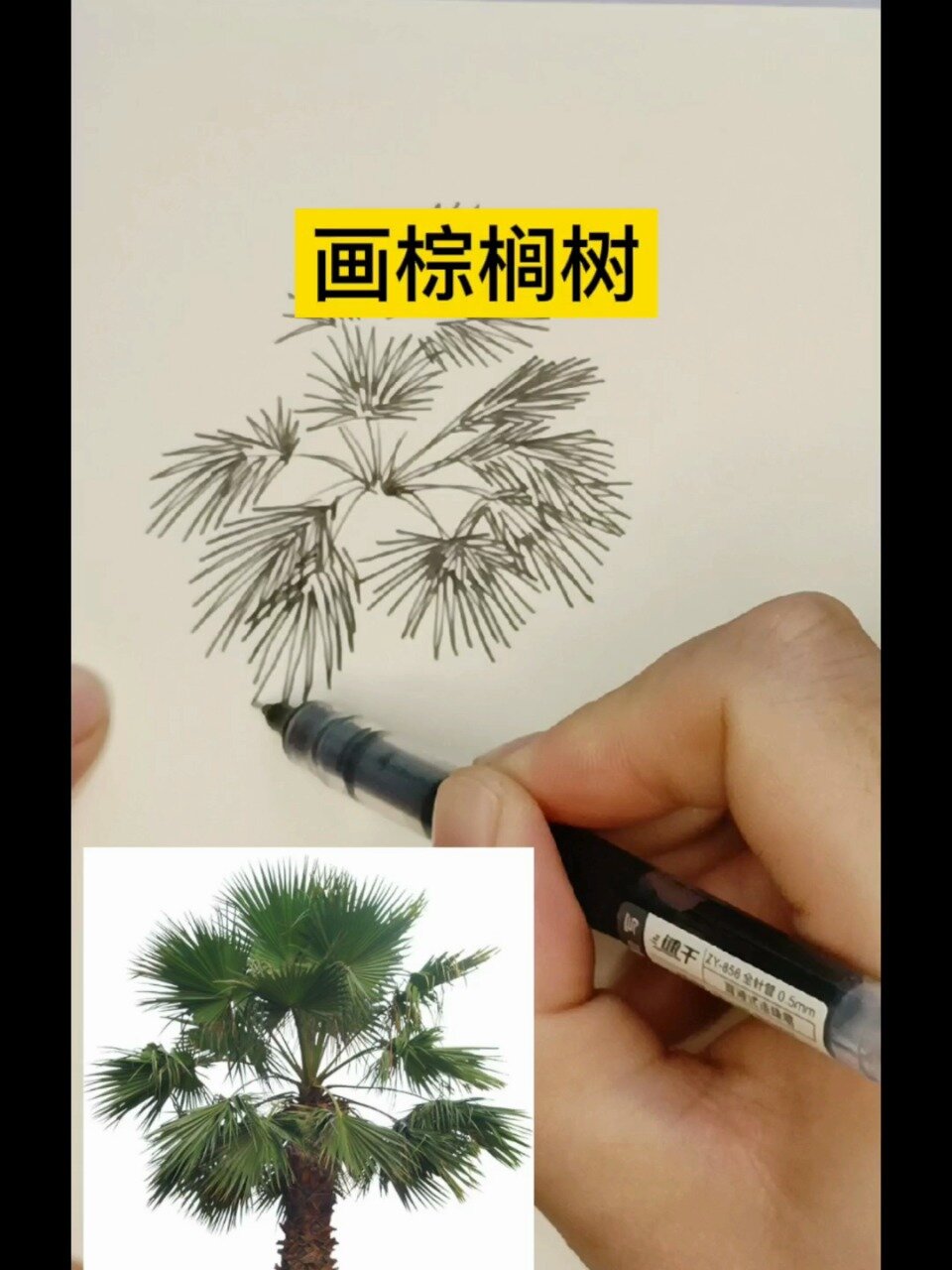 「风景建筑速写」画棕榈树