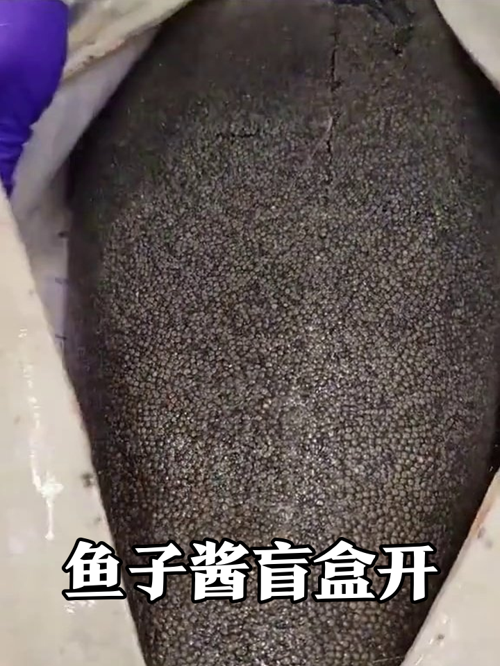 鱼肚子里开出‘黑珍珠’！这鱼子酱产量也太惊人了
