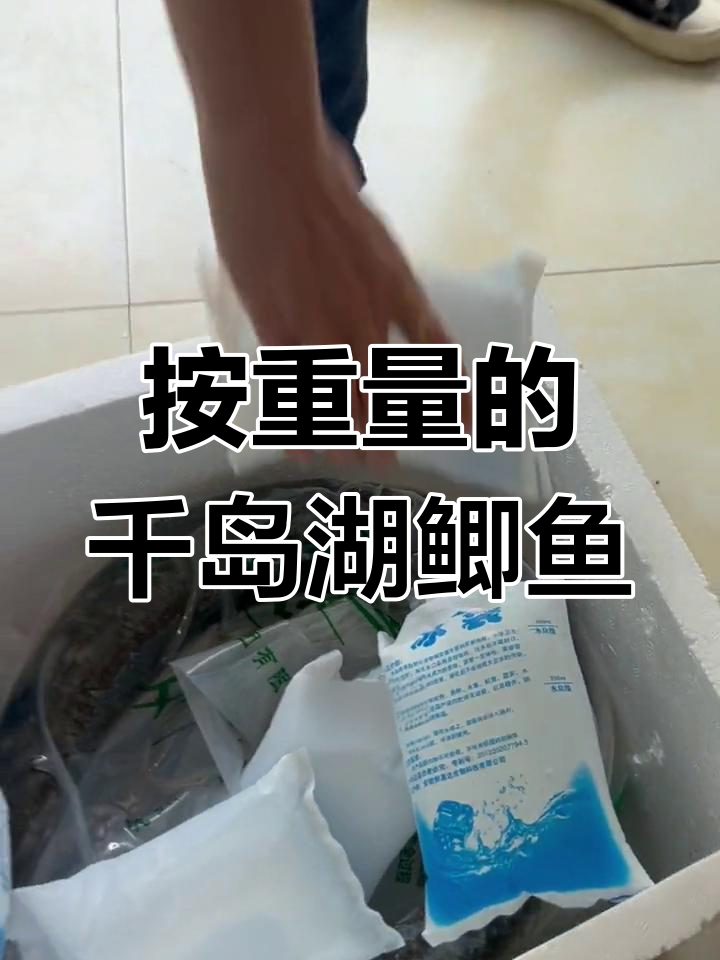千岛湖生态黄金鲫鱼,大小不一,按重量卖更划算