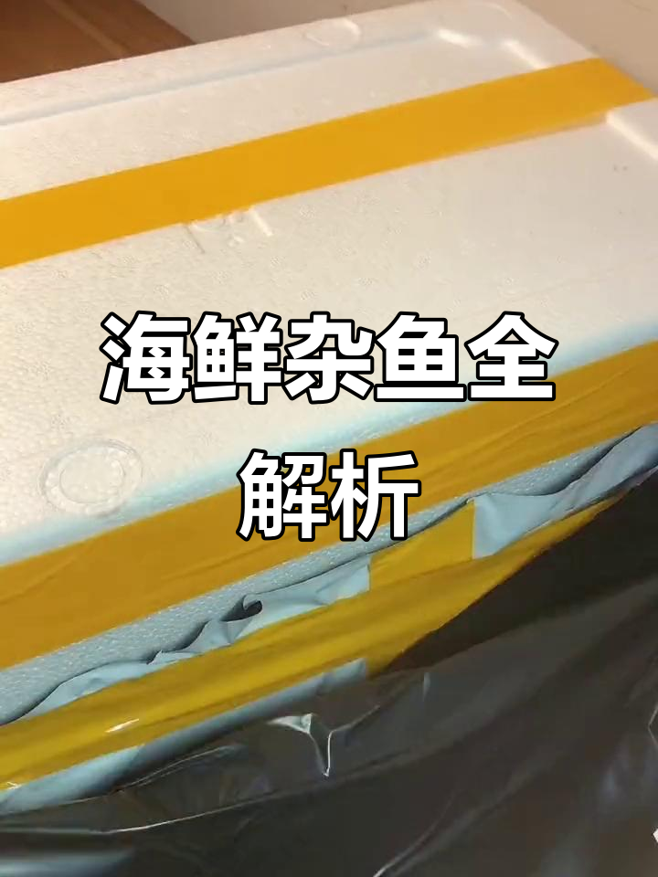 广东海鲜杂鱼大揭秘,海鲈、乌头一网打尽