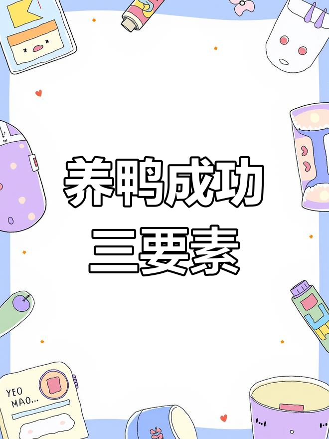 养鸭赚钱必知三大要点,成活率、健康与催肥技巧全揭秘