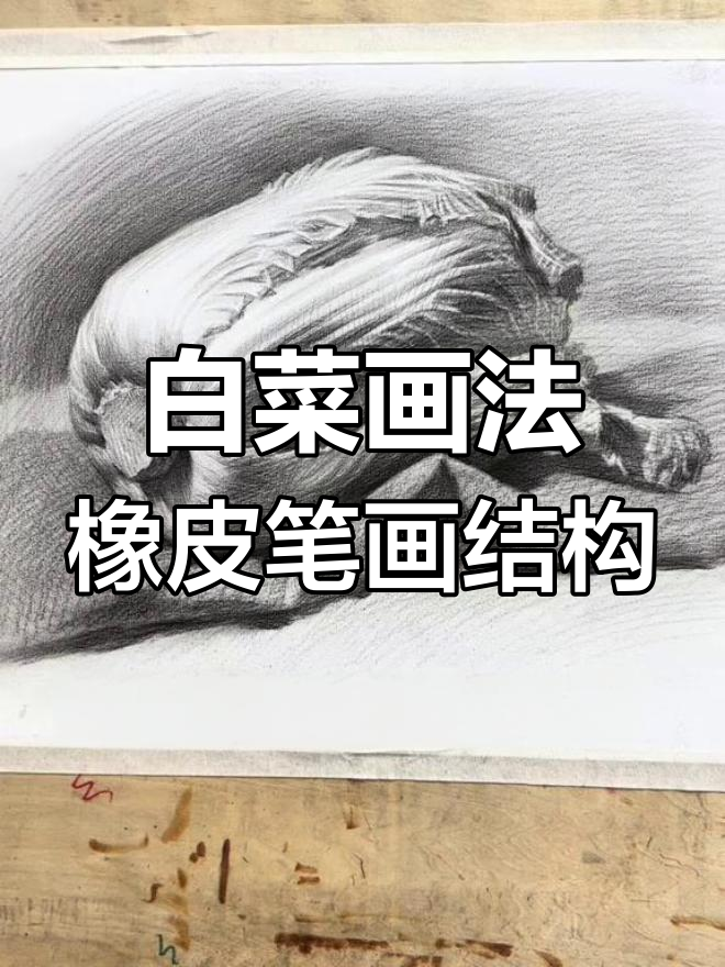 用橡皮笔轻松画出白菜结构，掌握素描技巧
