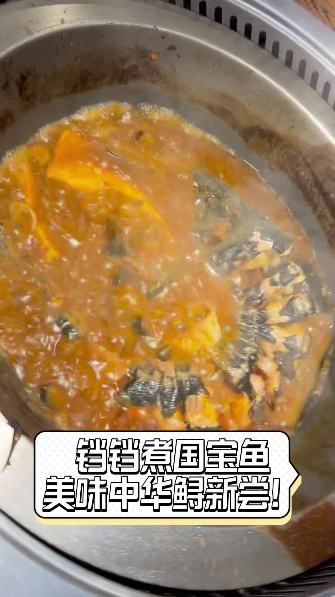 铛铛煮国宝鱼,美味中华鲟新尝!