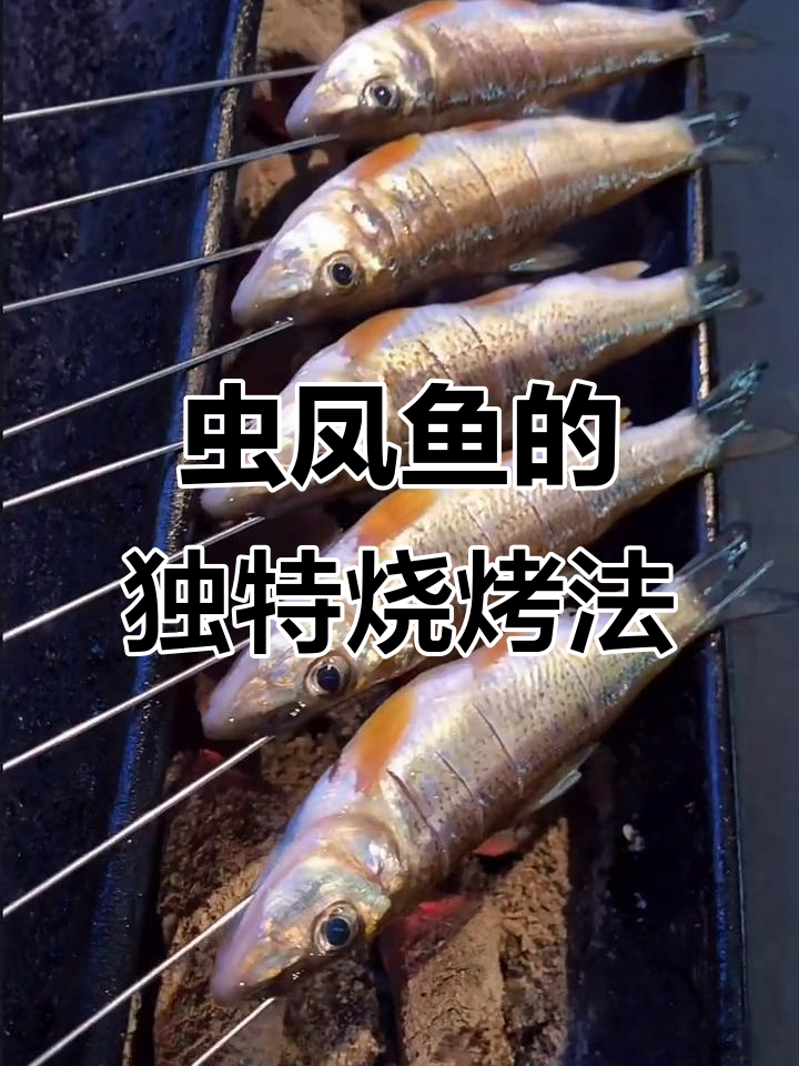 东北特产虫凤鱼，烤制秘诀大揭秘