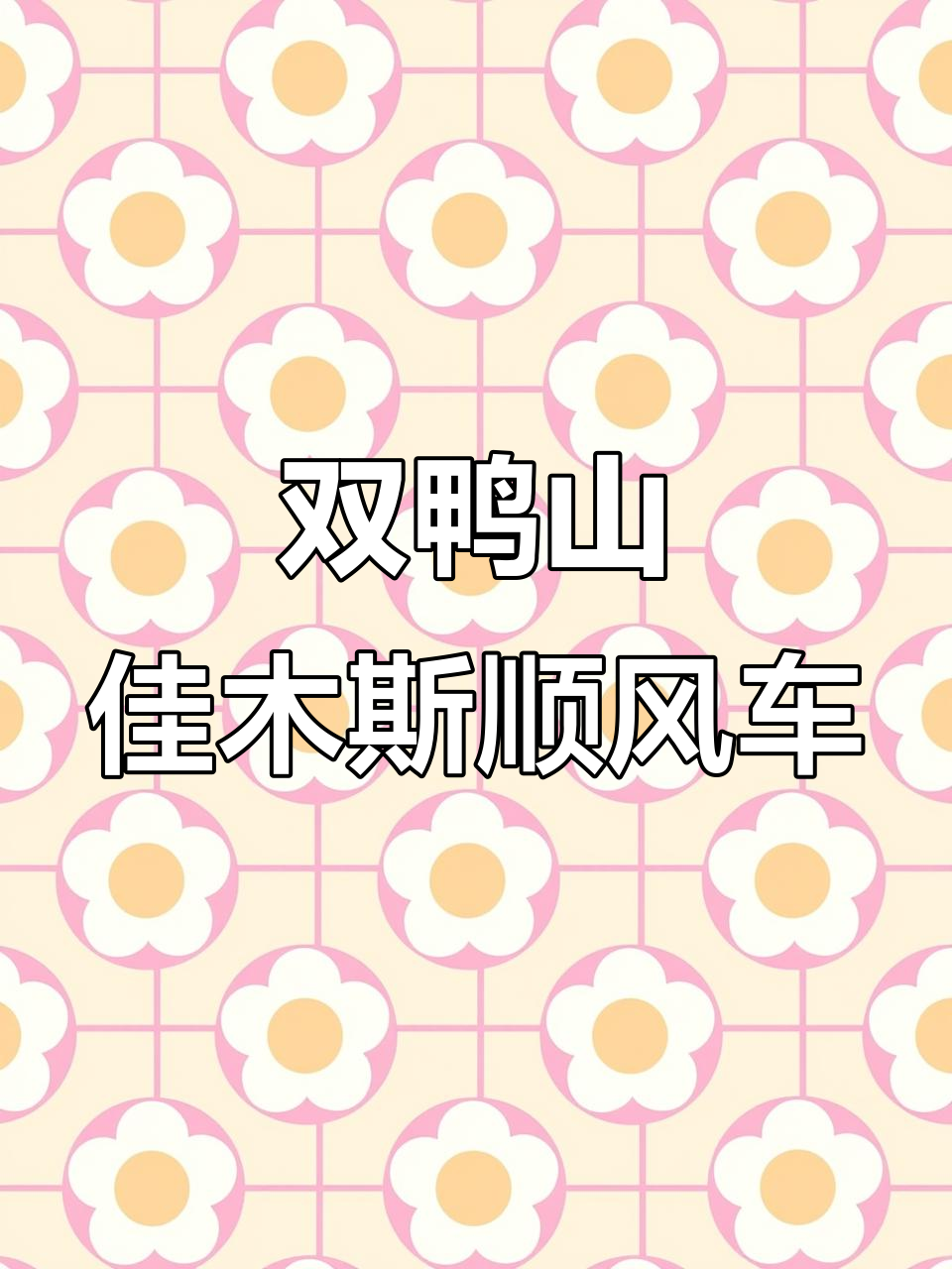 顺风车宝清至双鸭山,高铁飞机场全程接送