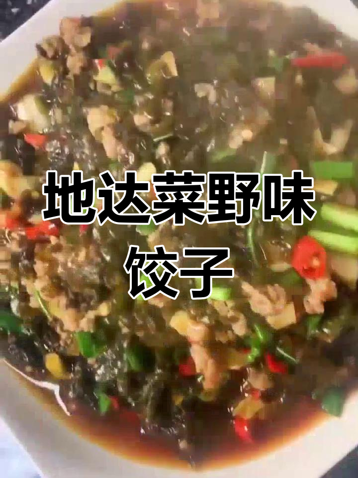 甘肃会宁特产地达菜,包饺子绝了!