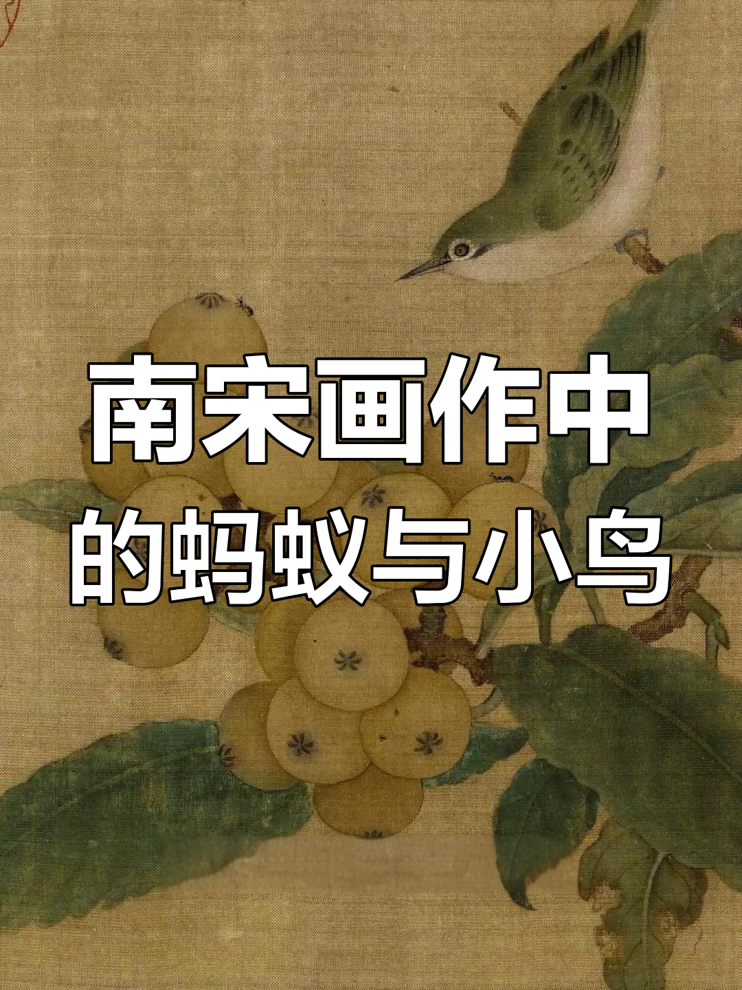 放大十倍看南宋画家林春的琵琶鸟图,细节惊艳!