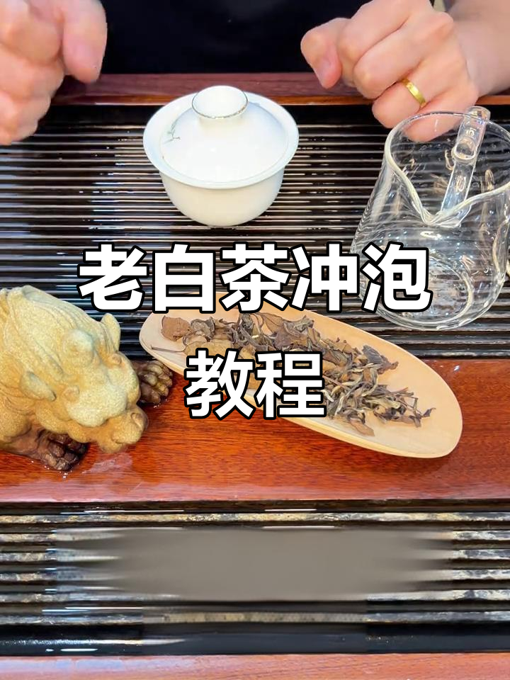 完整步骤教你如何泡好老白茶，煮茶技巧全揭秘