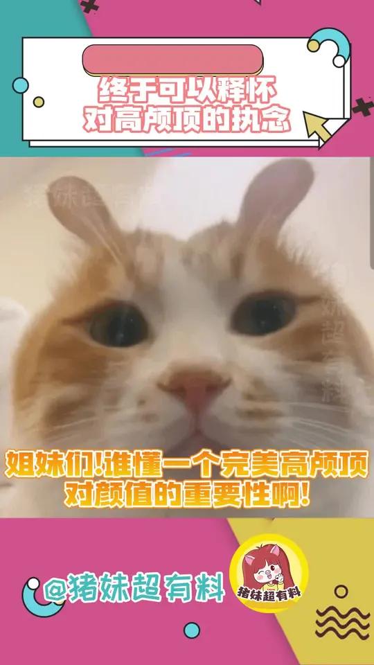 我的圈内闺蜜真的不白当!就会给我们分享好东西～年轻人对高颅顶的执念 跟杨超越弹出高颅顶 弹