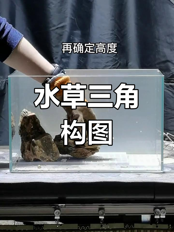 鱼缸迎客松造景教程
