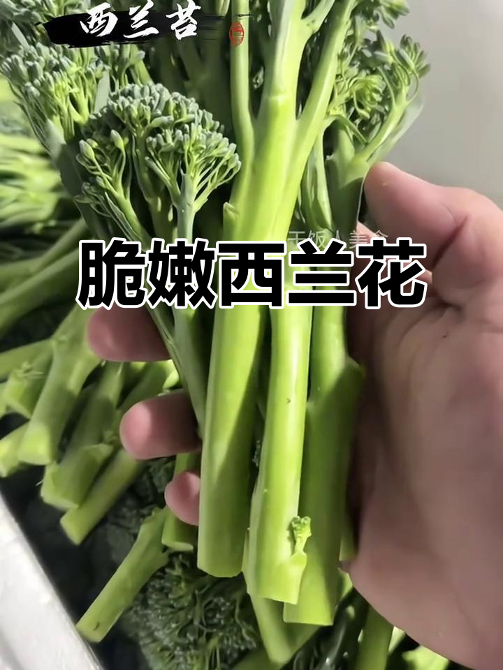 西兰花苔鲜嫩可口,白灼或炒食皆宜,清爽美味无法抗拒