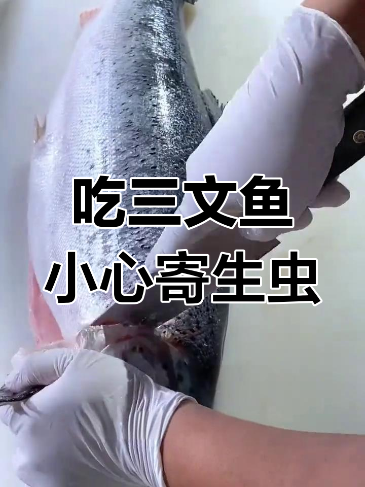 三文鱼寄生虫危机:生吃为何会感染?